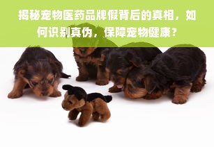 揭秘宠物医药品牌假背后的真相，如何识别真伪，保障宠物健康？