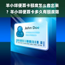 羊小咩便荔卡额度怎么套出来？羊小咩便荔卡多久有额度限制？