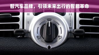 智汽车品牌，引领未来出行的智能革命