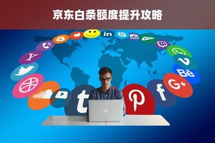 京东白条额度提升攻略