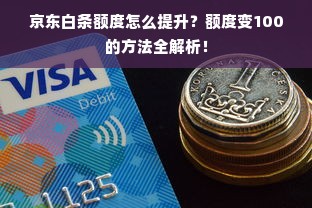 京东白条额度怎么提升？额度变100的方法全解析！