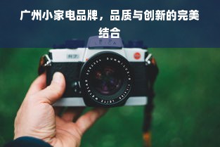广州小家电品牌，品质与创新的完美结合