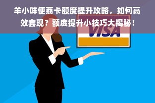 羊小咩便荔卡额度提升攻略，如何高效套现？额度提升小技巧大揭秘！
