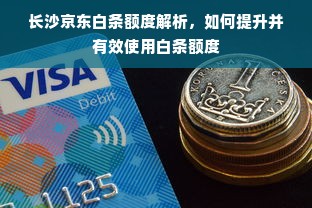 长沙京东白条额度解析，如何提升并有效使用白条额度