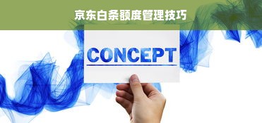 京东白条额度管理技巧