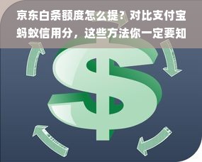 京东白条额度怎么提？对比支付宝蚂蚁信用分，这些方法你一定要知道！