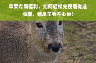 苹果专属福利，如何轻松兑现鹿优选额度，薅尽羊毛不心疼！