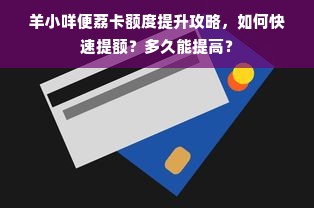 羊小咩便荔卡额度提升攻略，如何快速提额？多久能提高？
