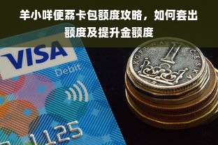 羊小咩便荔卡包额度攻略，如何套出额度及提升金额度
