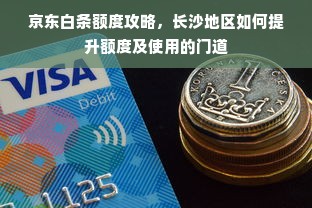 京东白条额度攻略，长沙地区如何提升额度及使用的门道