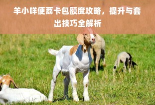 羊小咩便荔卡包额度攻略，提升与套出技巧全解析