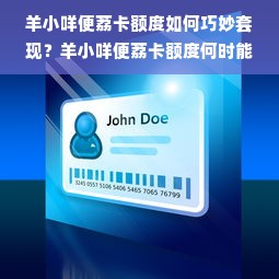 羊小咩便荔卡额度如何巧妙套现？羊小咩便荔卡额度何时能够恢复？