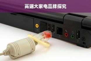 高端大家电品牌探究