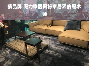 猜品牌 魔力家居揭秘家居界的魔术师