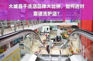 大城县干洗店品牌大比拼，如何选对靠谱洗护店？