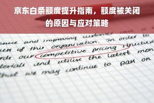 京东白条额度提升指南，额度被关闭的原因与应对策略