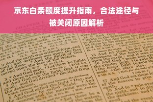 京东白条额度提升指南，合法途径与被关闭原因解析