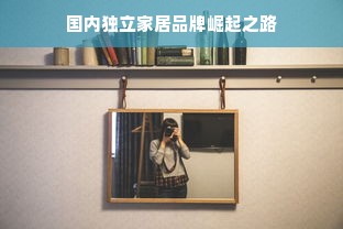 国内独立家居品牌崛起之路