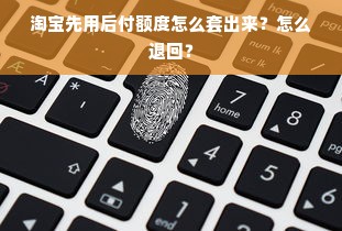 淘宝先用后付额度怎么套出来？怎么退回？