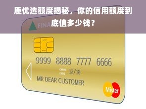 鹿优选额度揭秘，你的信用额度到底值多少钱？