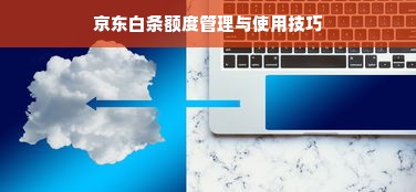 京东白条额度管理与使用技巧