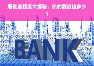鹿优选额度大揭秘，你的额度值多少？