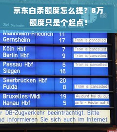 京东白条额度怎么提？8万额度只是个起点！