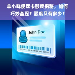 羊小咩便荔卡额度揭秘，如何巧妙套现？额度又有多少？