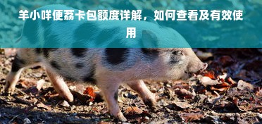 羊小咩便荔卡包额度详解，如何查看及有效使用