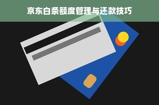 京东白条额度管理与还款技巧