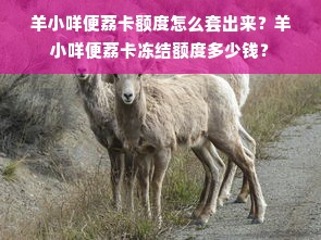 羊小咩便荔卡额度怎么套出来？羊小咩便荔卡冻结额度多少钱？