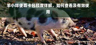 羊小咩便荔卡包额度详解，如何查看及有效使用