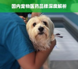 国内宠物医药品牌深度解析