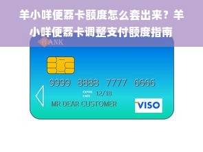 羊小咩便荔卡额度怎么套出来？羊小咩便荔卡调整支付额度指南