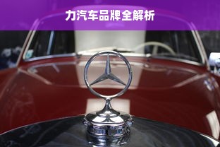 力汽车品牌全解析