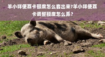 羊小咩便荔卡额度怎么套出来?羊小咩便荔卡调整额度怎么弄？