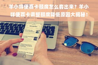羊小咩便荔卡额度怎么套出来？羊小咩便荔卡调整额度降低原因大揭秘！