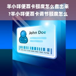 羊小咩便荔卡额度怎么套出来?羊小咩便荔卡调节额度怎么调？
