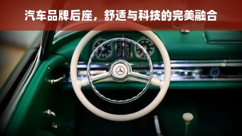 汽车品牌后座，舒适与科技的完美融合