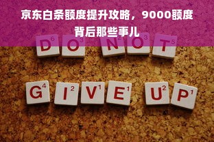 京东白条额度提升攻略，9000额度背后那些事儿