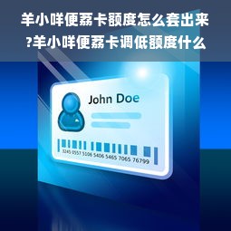 羊小咩便荔卡额度怎么套出来?羊小咩便荔卡调低额度什么调