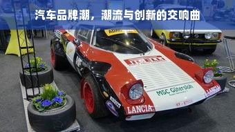 汽车品牌潮，潮流与创新的交响曲