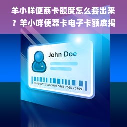 羊小咩便荔卡额度怎么套出来？羊小咩便荔卡电子卡额度揭秘！