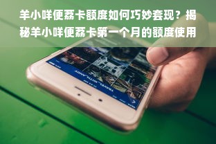 羊小咩便荔卡额度如何巧妙套现？揭秘羊小咩便荔卡第一个月的额度使用技巧