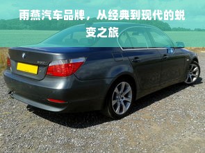 雨燕汽车品牌，从经典到现代的蜕变之旅