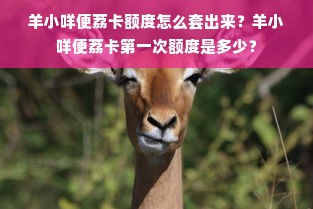 羊小咩便荔卡额度怎么套出来？羊小咩便荔卡第一次额度是多少？