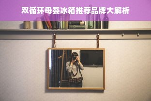 双循环母婴冰箱推荐品牌大解析
