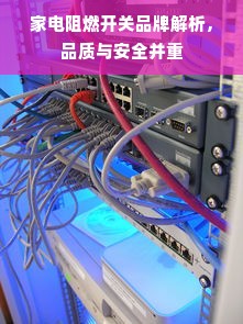 家电阻燃开关品牌解析，品质与安全并重