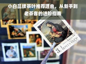 小白品牌茶叶推荐理由，从新手到老茶客的进阶指南
