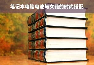 笔记本电脑电池与女鞋的时尚搭配
